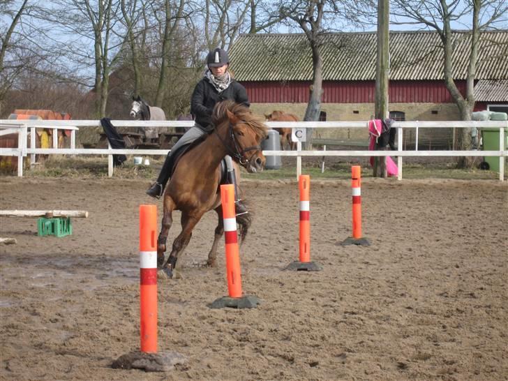Anden særlig race Barcardi  - Yearh. vi kan også lave ponygames :D billede 10