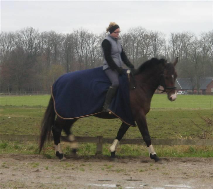 Oldenborg Light-Moon billede 11