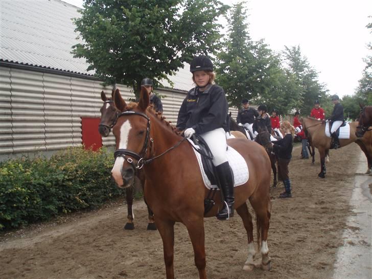 DSP Jet´aime<3 - det her billede er taget på Vilhemsborg mit hold blev nummer to i team cup landsfinalerne billede 8