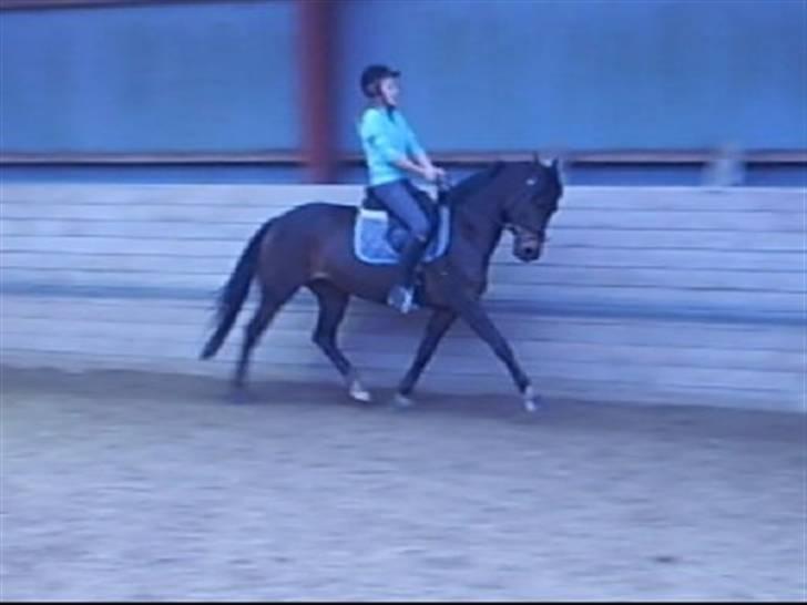 Anden særlig race Madeleine - solgt. - UNDSKYLD KVALITET! Taget fra video. billede 10