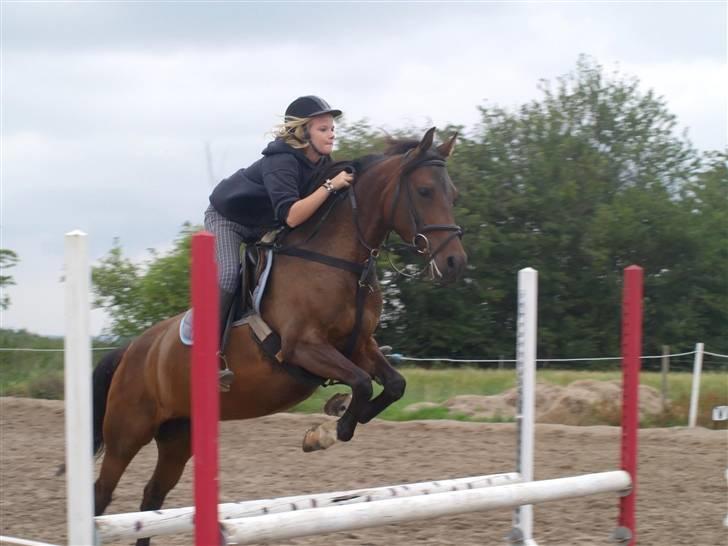 Anden særlig race Madeleine - solgt. - Springtræning. billede 11