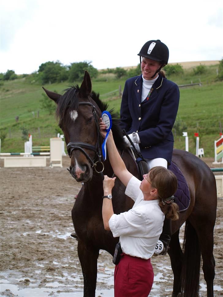 Fuldblod (XX) La Corona - Præmieoverrækkelse på Skårup Overgård billede 1