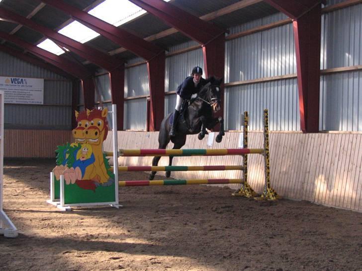 Fuldblod (XX) La Corona - LB spring billede 6