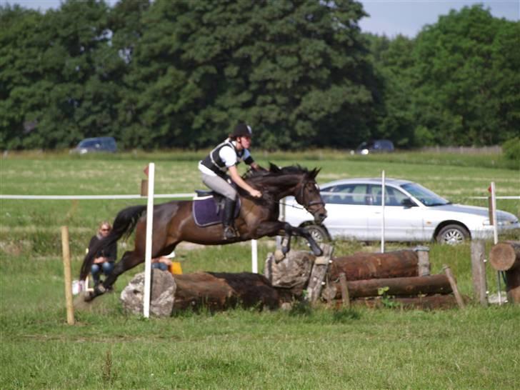 Fuldblod (XX) La Corona - Militarystævne billede 7