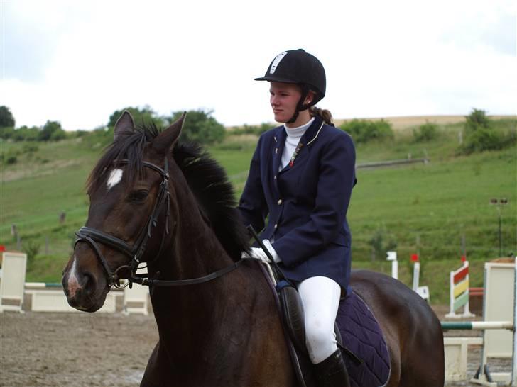 Fuldblod (XX) La Corona - Præmieoverrækkelse på Skårup Overgård billede 11