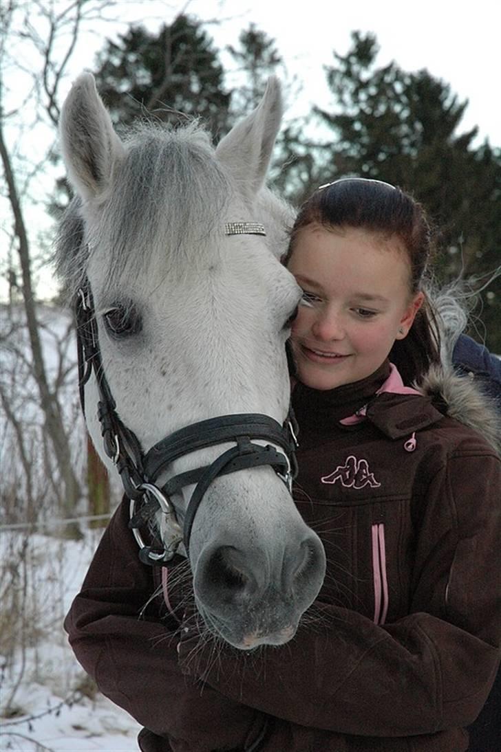 Anden særlig race Hovmarkens Lollipop R.I.P 11.12.13 - nr 16. Elsker min skønne pony. Foto: Pia Rol billede 16