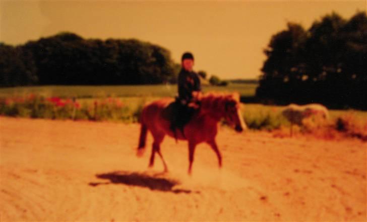 Anden særlig race Speedy Gonzales.. R.I.P - Da havde jeg næsten lige fået ham.. <33 billede 12