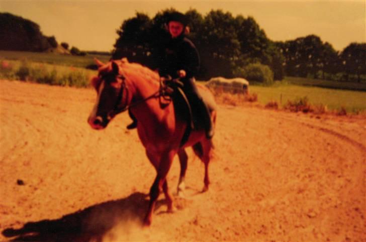 Anden særlig race Speedy Gonzales.. R.I.P - Speedy jeg elsker dig bare så meget.. <33 billede 13