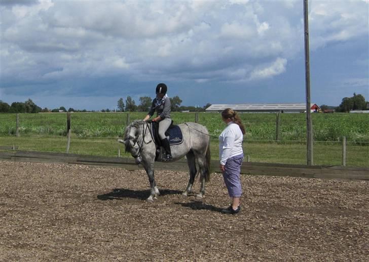 DSP Acia's Chanell billede 18