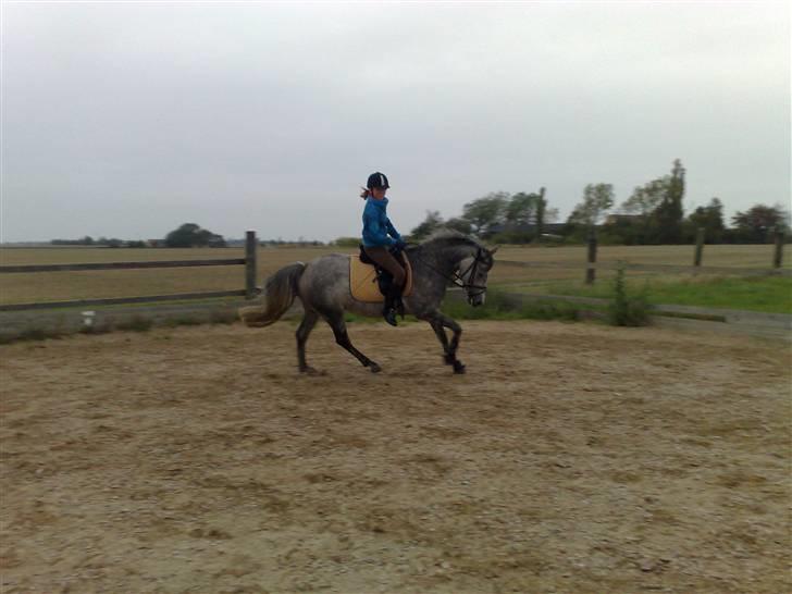 DSP Acia's Chanell billede 12