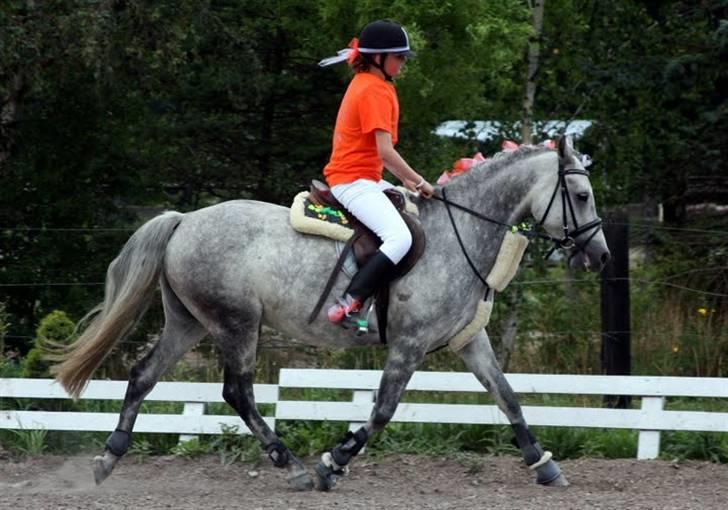 DSP Acia's Chanell billede 6