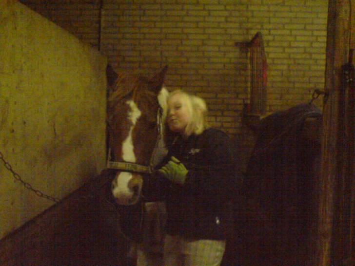 Pinto Tarzan - Mig og den smukke pony Tarzan<333 billede 5