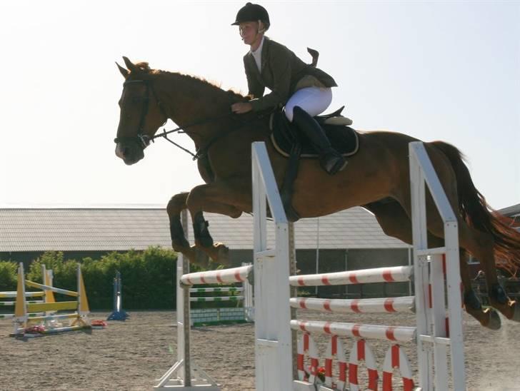 Holstener Allerbester 0004 - Rednings bælterne. Foto: Kim Bahnsen billede 8