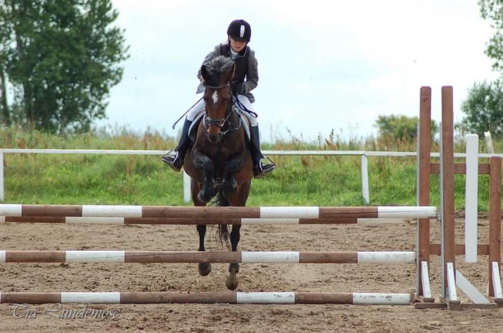 DSP Daisy Hesse<3 Solgt :/ :( - Daisy i ørsted .. ;)   foto: tia.. mange tak<3 billede 7