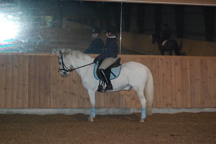 Welsh Pony (sec B) tintin<33 - Ja så står jeg stille og Ida kigger en i spejlet som hun plejer, Altså hvad kigger hun efter hvis hun kigger efter sig selv må hun da snart få undet i øjene og det sku ikk fordi hun skinder "host host" billede 6