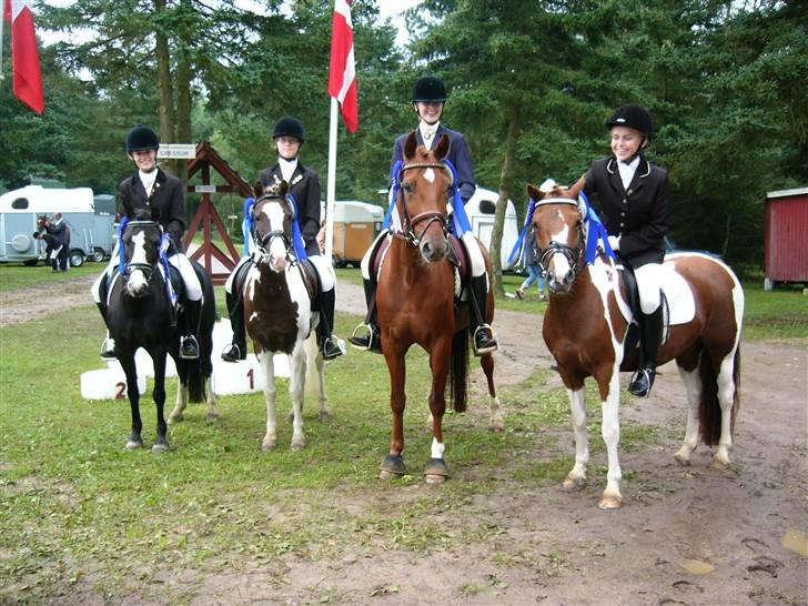 Welsh Pony (sec B) Apache - Distriktsmesterskab 2006 ! Fra højre: Sara Raimondi, Bonnie - Mig- Tenna Iben Andreas, Tyson- Xenia , Celina -!- loverholdet !!  billede 6