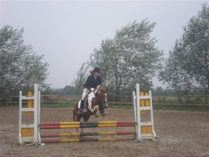 Anden særlig race Samson - Samson og Mig i en Lc til KlubMeskerskaberne i Spring på Fak.! Og Klan Ikke lige huske Hvad vi Blev. ! Men det var godt. ! billede 6