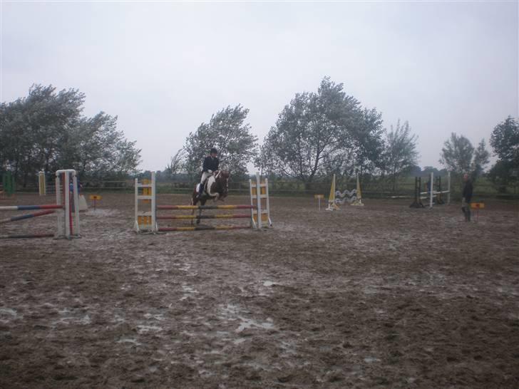 Anden særlig race Samson - Samson og Mig i en Lc til KlubMesterskaberne på Fak, I Omspringning 80 Cm. ! billede 7