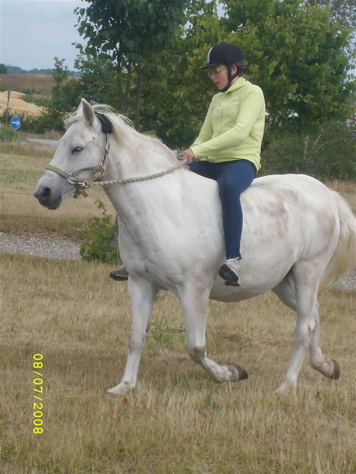 Anden særlig race Miss Jackie *gamle part* - min xxxxxxx veninde har taget dette billede billede 8