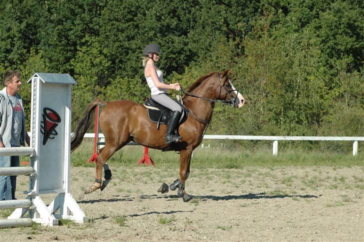 DSP Banzai (Solgt) - ... og mer træning :) han var vidst lidt svær at holde. billede 4