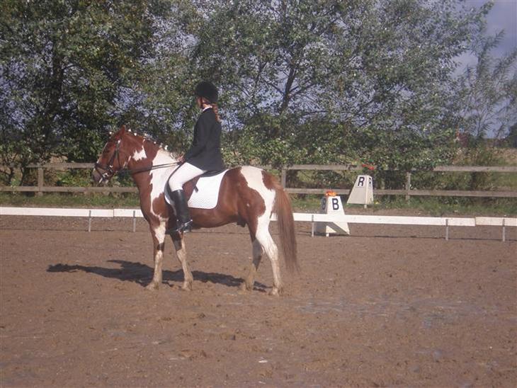 {{currentPhoto.altText}} billede {{currentPhoto.number}}