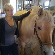 Fjordhest Liv  -   RIP :´(