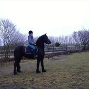 Frieser Roaske Fan Tusken De Dobb