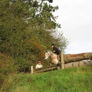 DSP Stridsbjergs Karibi