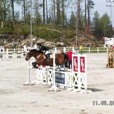 Anden særlig race Lukaschi *R.I.P*