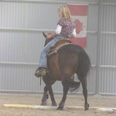 Anden særlig race Nala * Min søsters*