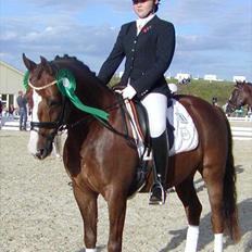 DSP Møgelholts Jambo SOLGT