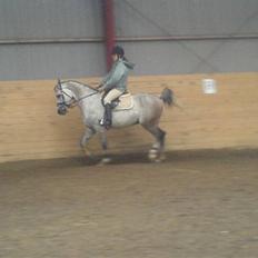 Sportsaraber (A) Zhazir Ibn Malik