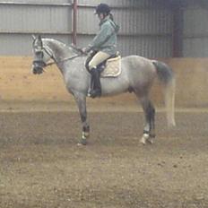 Sportsaraber (A) Zhazir Ibn Malik