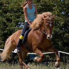Islænder Abel fra Frederikshvile