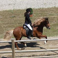 Islænder Abel fra Frederikshvile