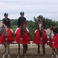 Irsk Sportspony Tullibards Gala Gold 