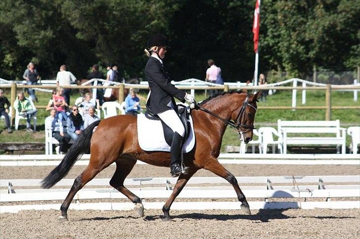 DSP Røgild´s Selina - Øgning:D billede 1