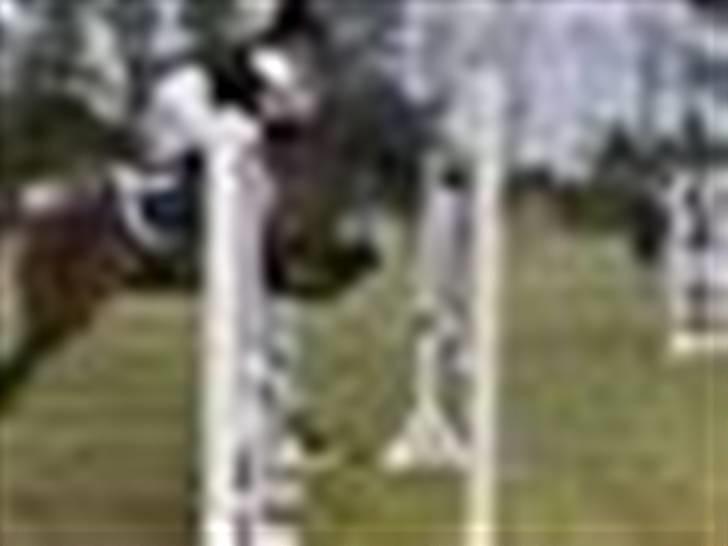 Welsh Pony (sec B) Dixie  / † / - omspringning til landsstævnet i nordthy 2008, 2.plads i MB´en billede 14