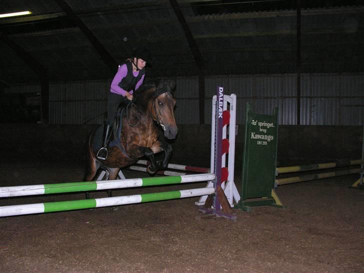 New Forest Bianca*Elev pony* - Springtime :D Foto: line billede 2