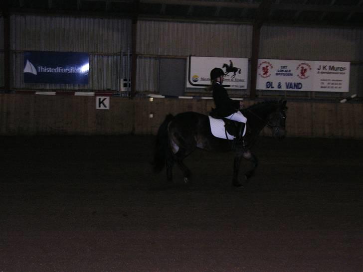 New Forest Bianca*Elev pony* - Til stævne igen :D billede 7