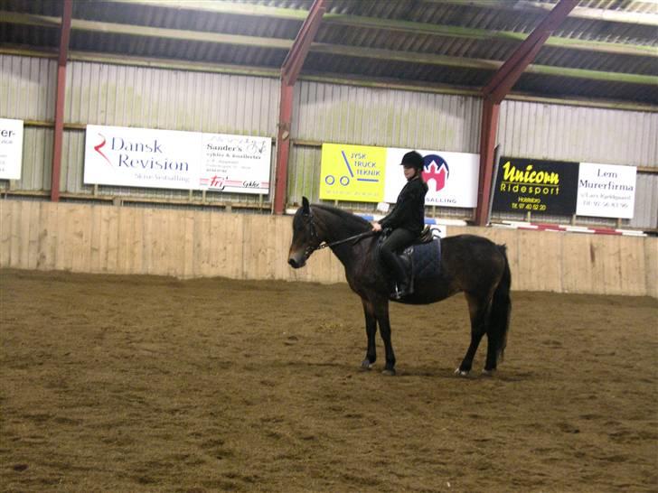 New Forest Bianca*Elev pony* - Undervisning :D Bianca og jeg :) billede 8