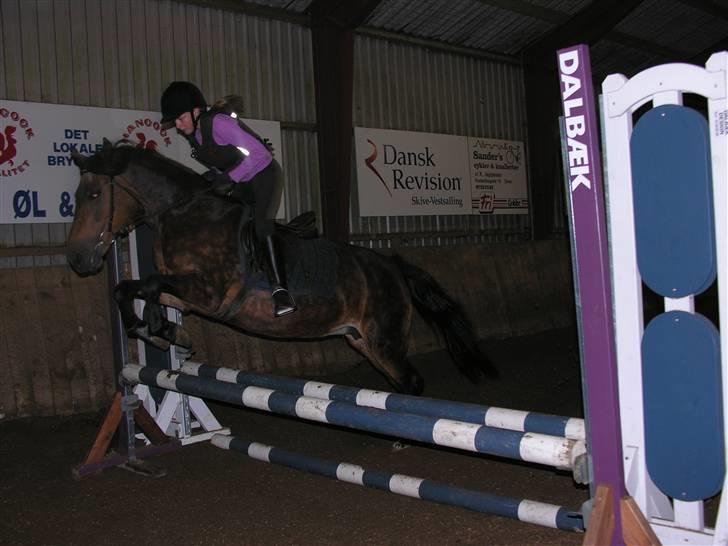 New Forest Bianca*Elev pony* - Vi flyver bare over :D billede 10