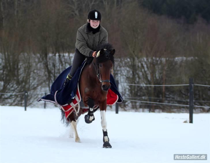 Anden særlig race Frenja, solgt. - Vinteren 2009/2010. Min smukkeste skat. billede 19