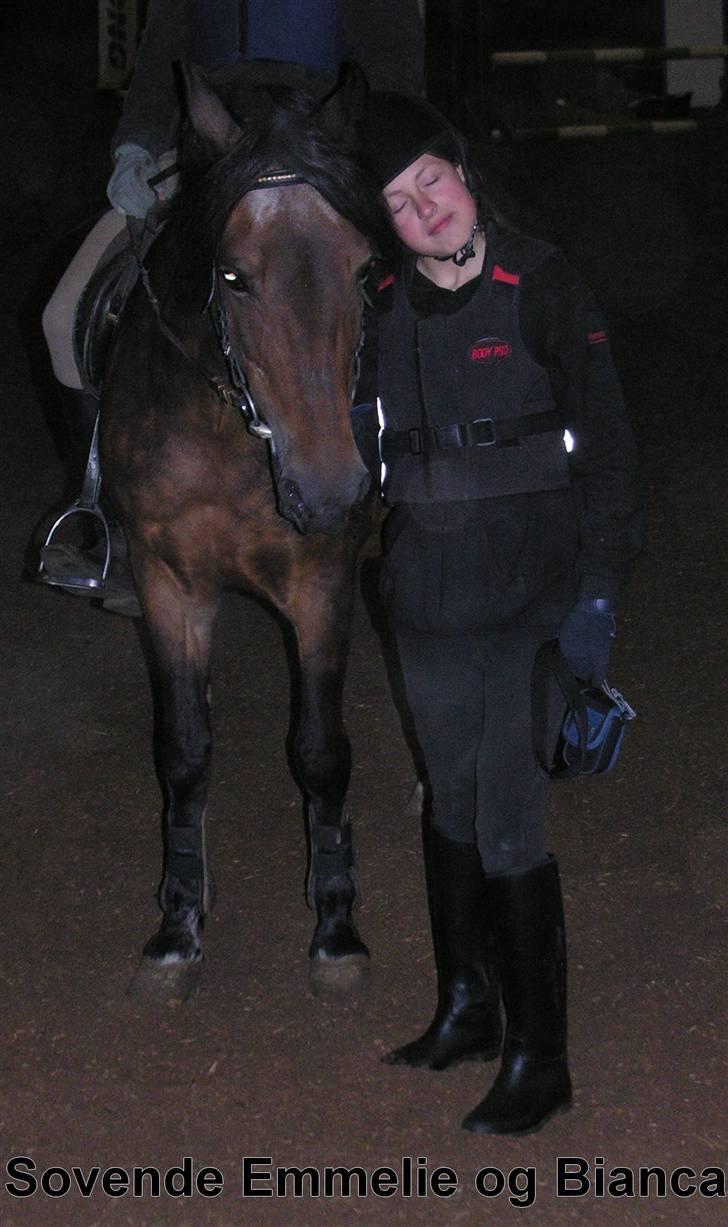 New Forest Bianca*Elev pony* - Bianca og jeg <3 Jeg ser MEGA dum xD billede 13