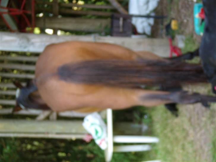 Traver moonshine (solgt) - bagfra billede 2