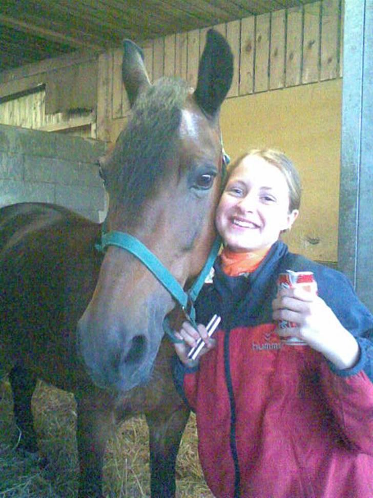 New Forest Bianca*Elev pony* - Bianca og jeg <3 billede 16