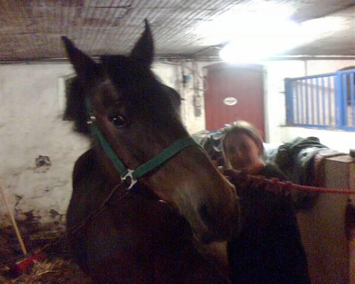 New Forest Bianca*Elev pony* - "uh ja lige der Emmlie xD"  billede 17