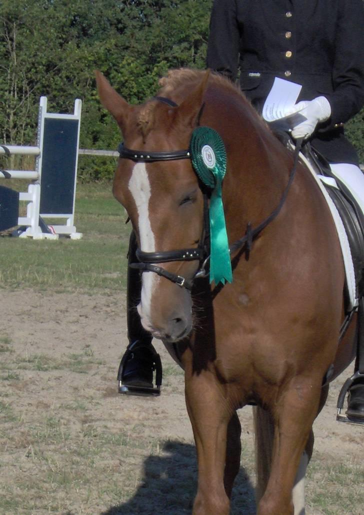 DSP Amie - Laila og Amie nr. 5 ved Distriktsmesterskabet 2006 billede 1