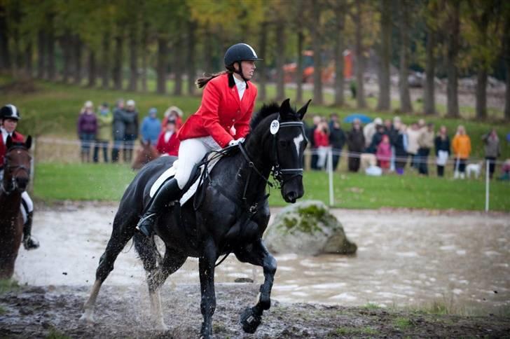 Oldenborg Kyllingegårdens Bubber - Steeplechasejagten Haregabsgaard 2009 - godt man har en hest der bare elsker vand;) billede 1