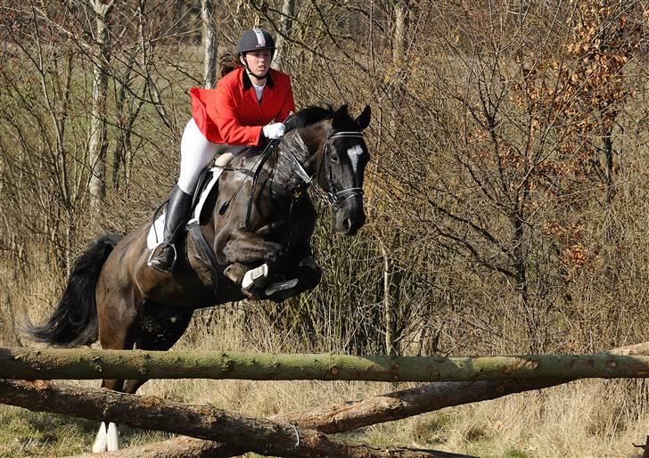 Oldenborg Kyllingegårdens Bubber - Babyjagten i Sperrestrup 2009 billede 2